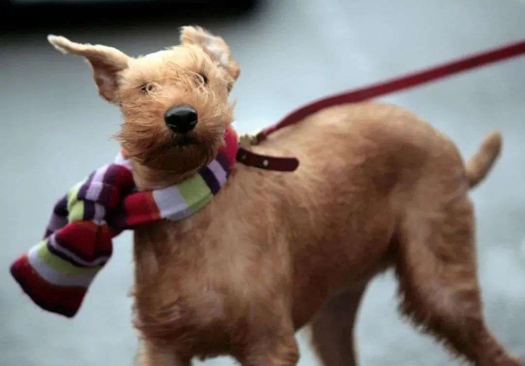 看一眼你的头发,就知道洗发水买错了 看一眼你的头发,就知道洗发水买错了