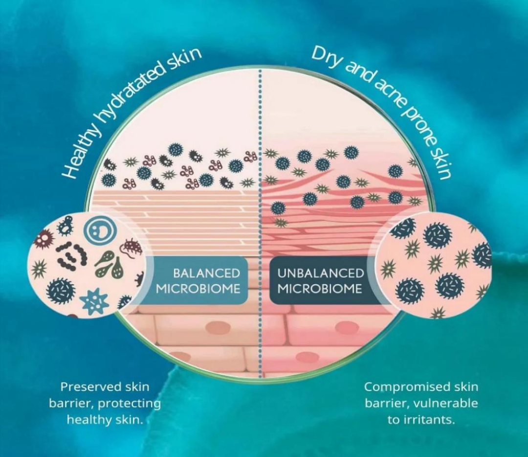 环保成美业新势力? 环保成美业新势力?