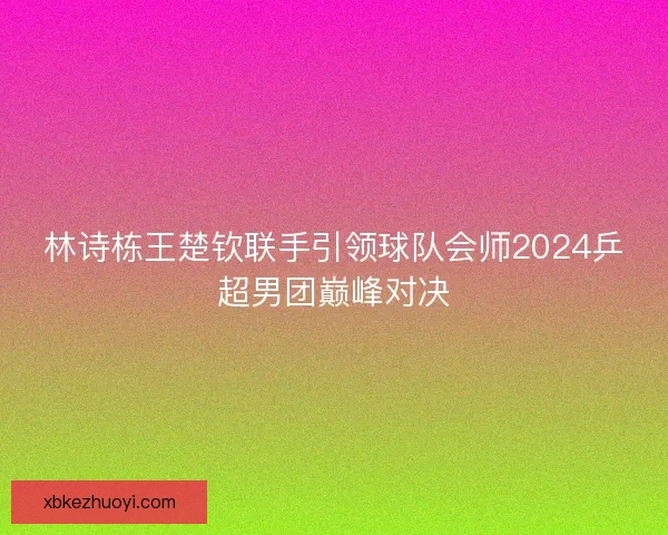 林诗栋王楚钦联手引领球队会师2024乒超男团巅峰对决