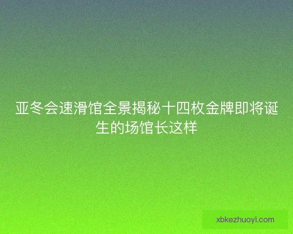 亚冬会速滑馆全景揭秘十四枚金牌即将诞生的场馆长这样