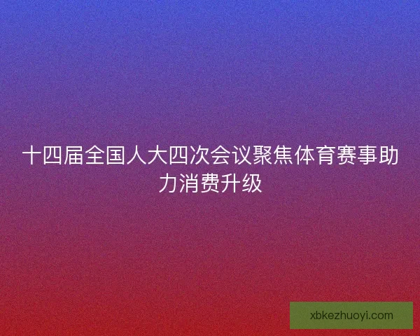 十四届全国人大四次会议聚焦体育赛事助力消费升级