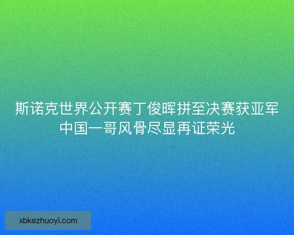 斯诺克世界公开赛丁俊晖拼至决赛获亚军中国一哥风骨尽显再证荣光